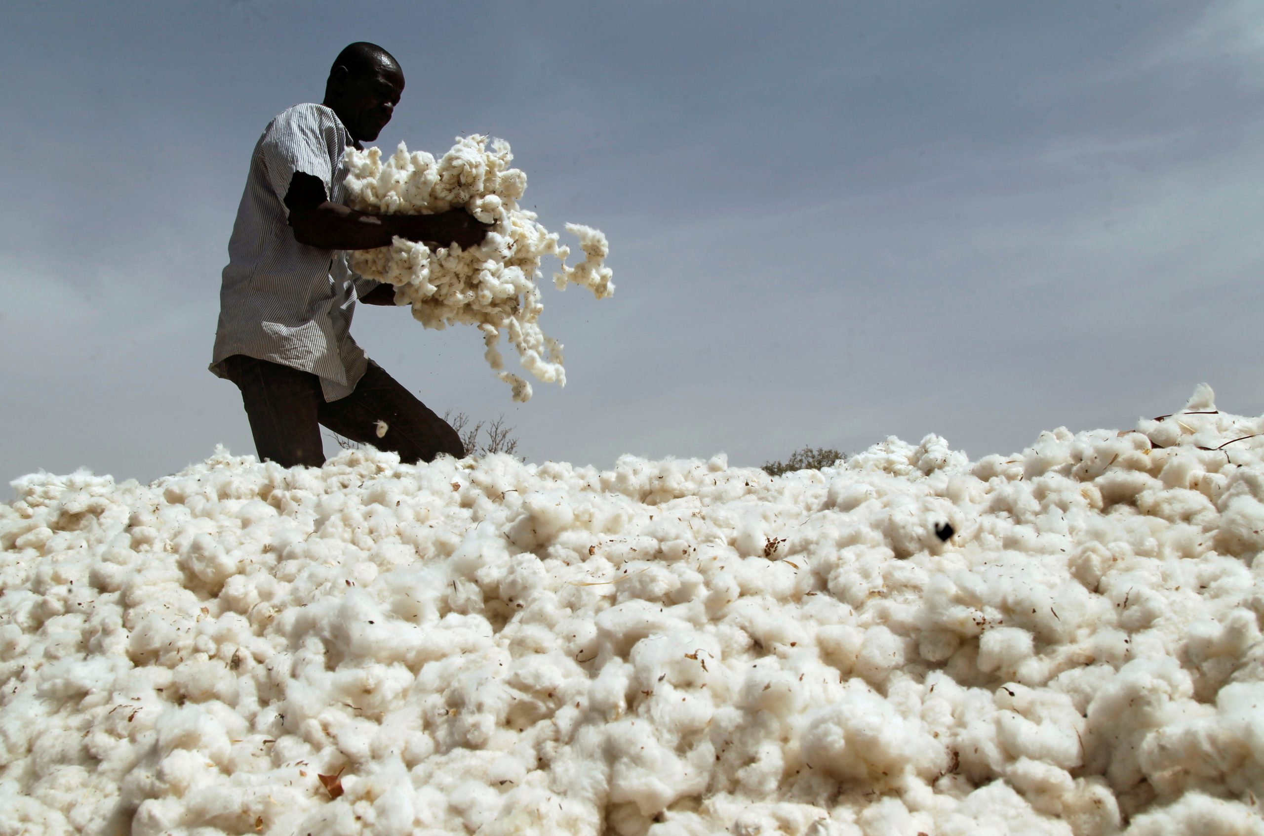 Mali Records Highest Cotton Production Time Africa Magazine