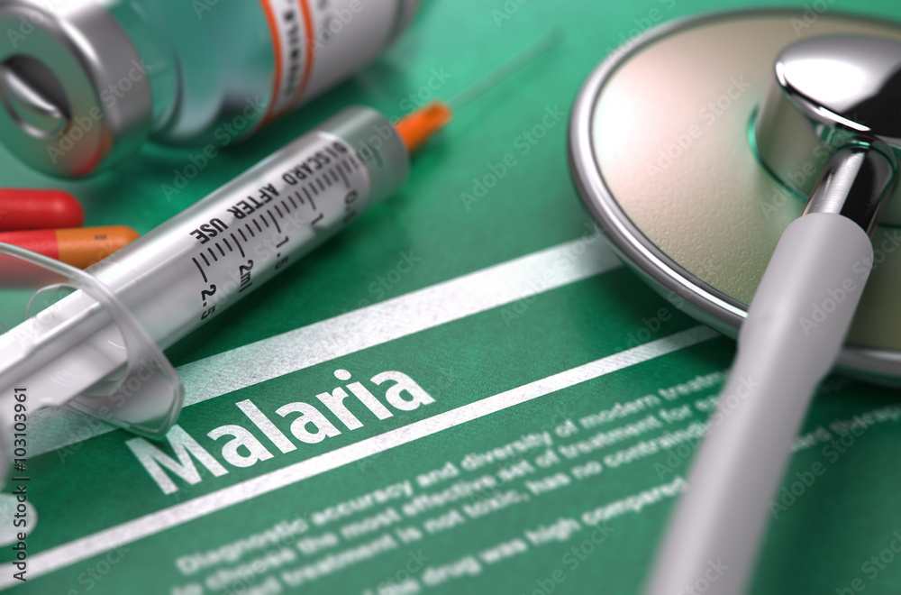 Egypt Declared Malaria-Free by WHO